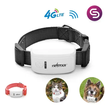 4G Pet Tracker С Ошейником GSM/GPRS Позиционирование В режиме реального Времени GPS Трекер Собака Кошка Локатор домашних животных TK909 LK909 для IOS / Andriod App
